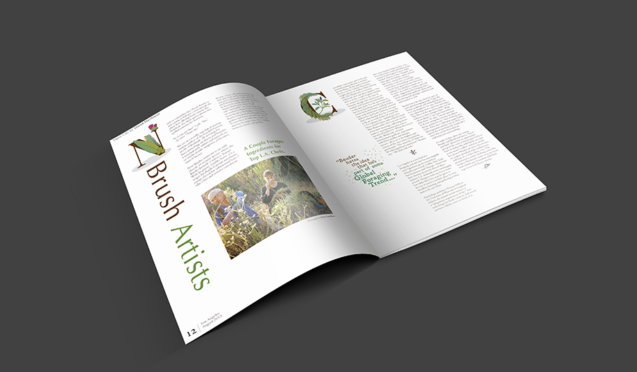 LA Magazine Article - Re-Design
